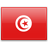 tunezyjskie nazwy domen - .tn